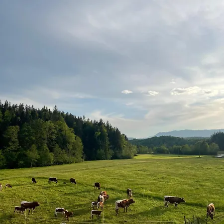 Tanja 3 Bedroom, Mountain View & Family 아파트